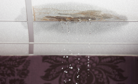 Plumber Macquarie Fields